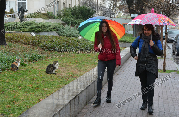 Жълт код за дъжд и в неделя