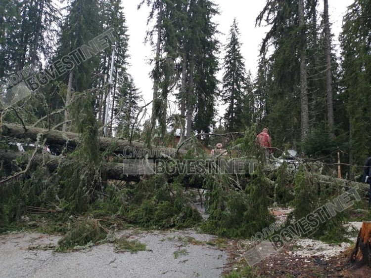 Протече покрива на театъра, паднали дървета затиснаха автомобили в Пампорово / актуални снимки/