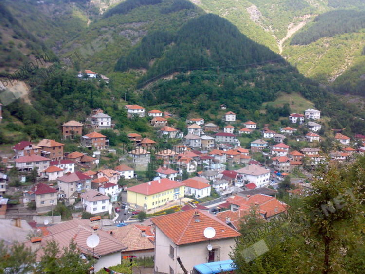 Любопитно за обичая "Сурвак" в Златоградско