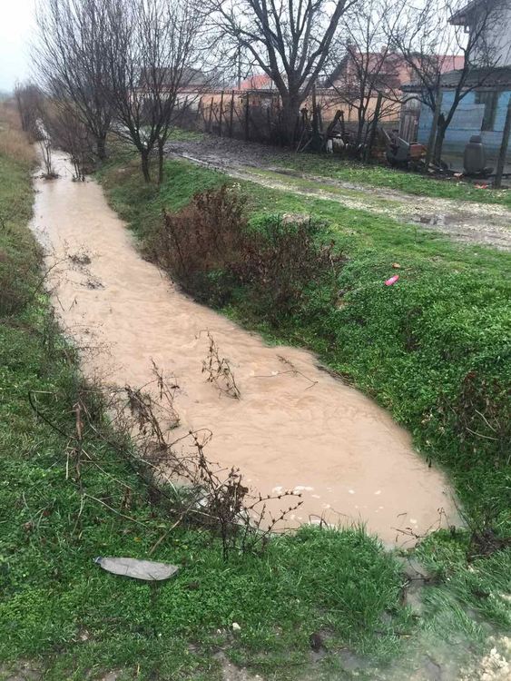 Снимките са на Иван Георгиев