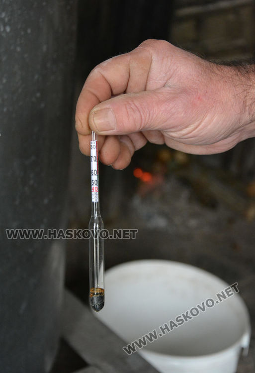 Хасковлия очаква качествена домашна ракия от сладкото и ароматно грозде