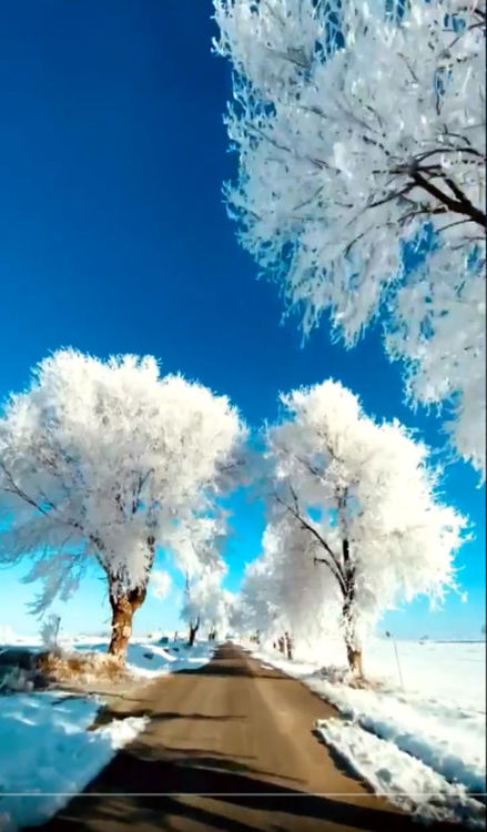 Ледена приказка в Албасете (видео)