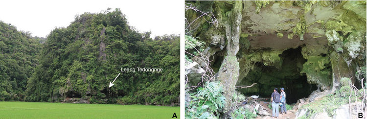 Откриха най-древната пещерна рисунка, на 45 хиляди години