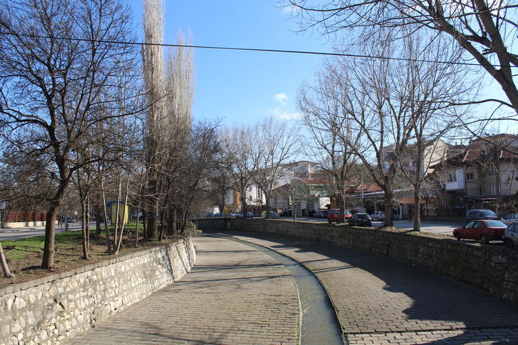 Затварят част от булевард „България“ на 18 януари заради резитбата на тополите