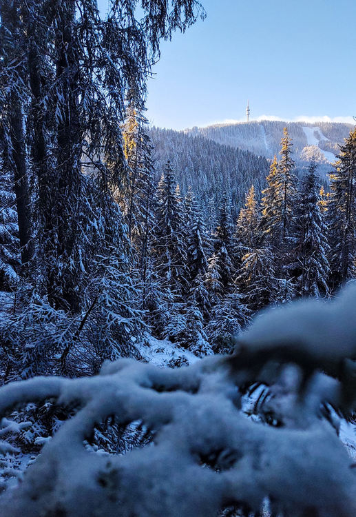 На 16 януари Пампорово дава рестарт на ски сезона
