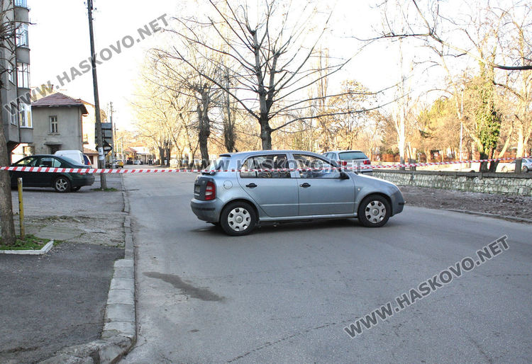 Започна резитбата на тополите, затвориха част от булеварда край реката