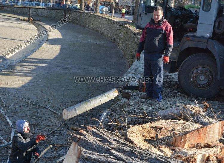 Започна резитбата на тополите, затвориха част от булеварда край реката