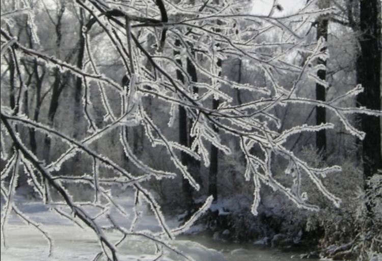 Минус 15,5 градуса измериха днес в Севлиево