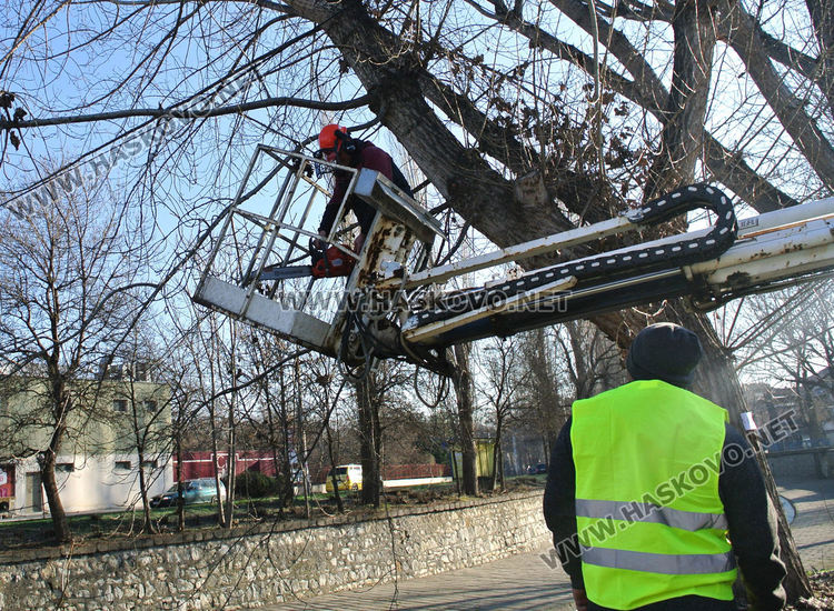 Започна резитбата на тополите, затвориха част от булеварда край реката