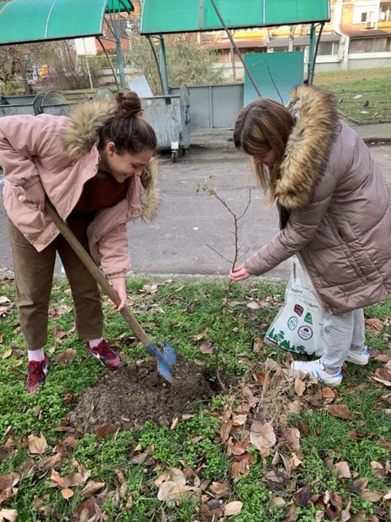 100 дръвчета за 100- годишнината на Гимназия „Христо Ботев“