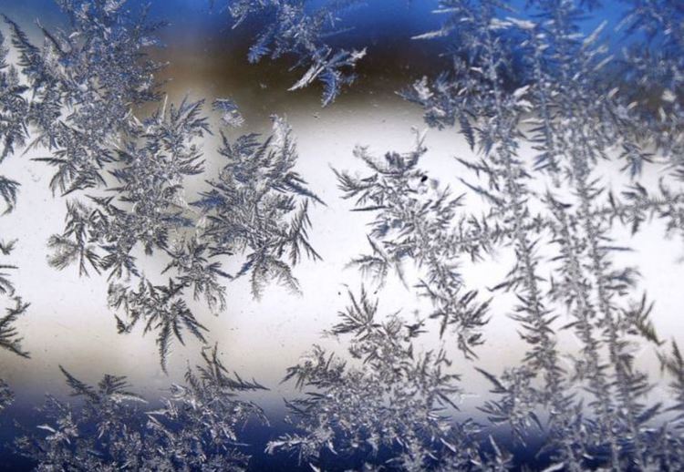 Януарско слънце с минусови температури