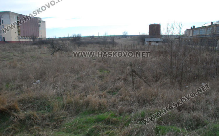 Стартират процедури за закрит плувен басейн в Хасково и кучешки приют