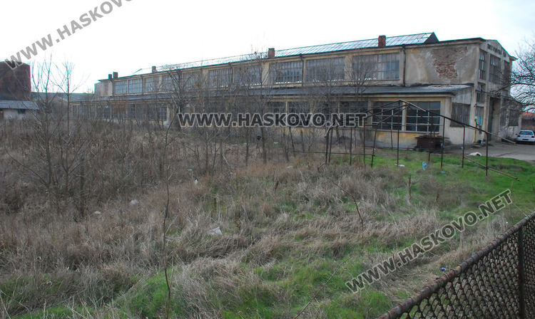 Стартират процедури за закрит плувен басейн в Хасково и кучешки приют