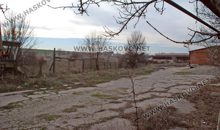 Стартират процедури за закрит плувен басейн в Хасково и кучешки приют