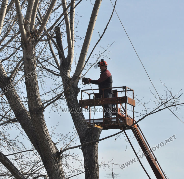 Край реката в Хасково ще бъде залесено отново