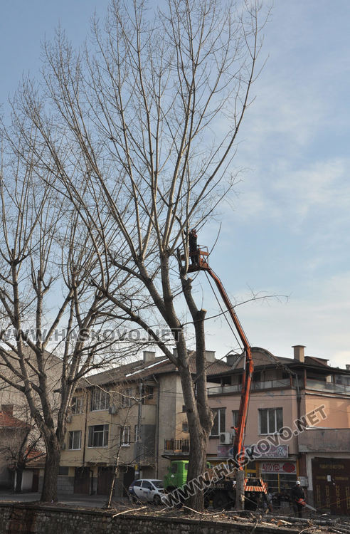 Край реката в Хасково ще бъде залесено отново