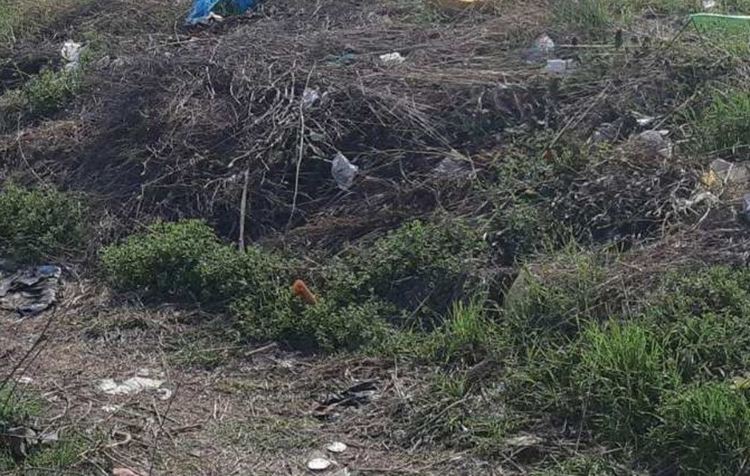 Асеновград с три наказателни постановления заради незаконни сметища