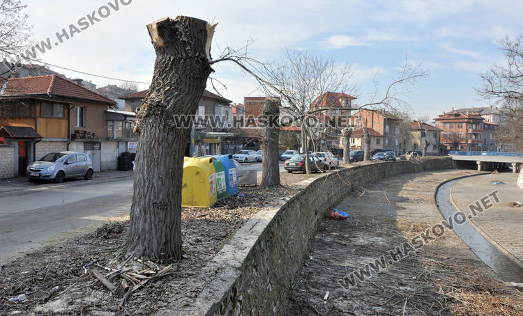 Край реката в Хасково ще бъде залесено отново