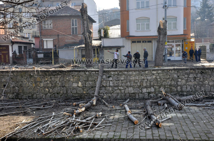 Край реката в Хасково ще бъде залесено отново