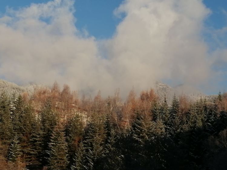 Предимно облачно в петък, с дневни температури 6-7 градуса