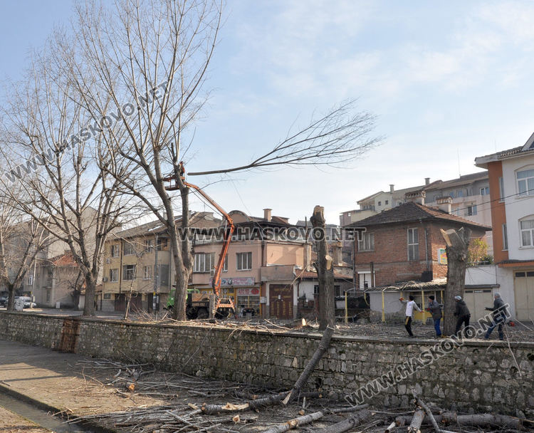 Край реката в Хасково ще бъде залесено отново