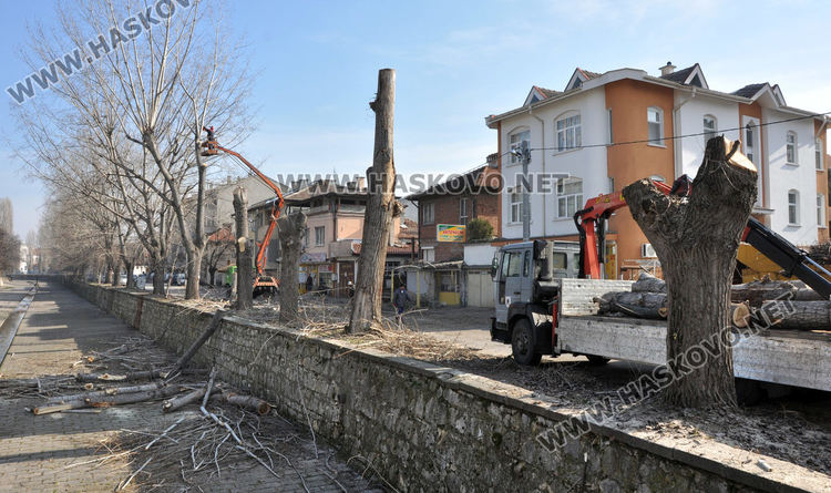 Край реката в Хасково ще бъде залесено отново