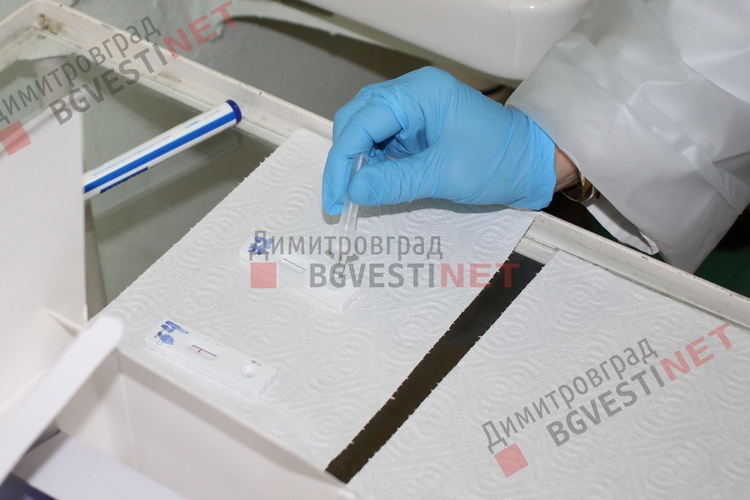 Започна масово тестване на учителите в димитровградските школа