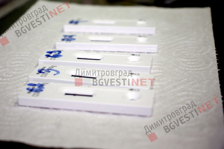 Започна масово тестване на учителите в димитровградските школа