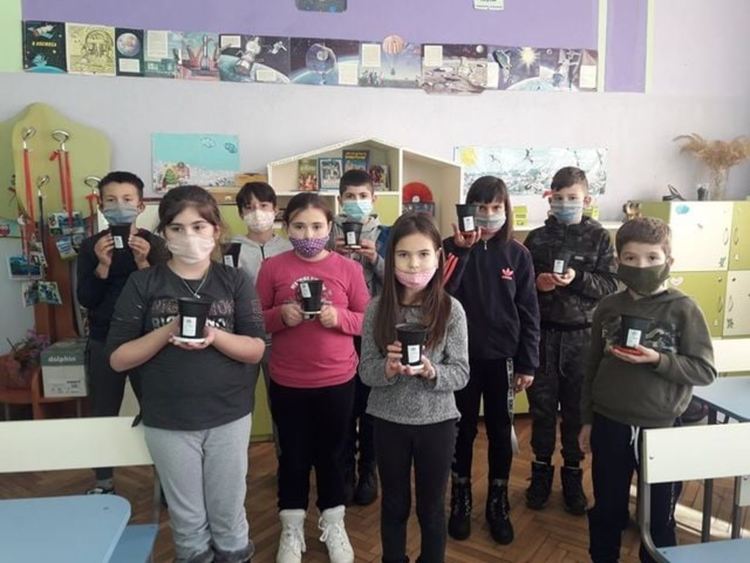 В училището в село Грохотно си засадиха гора, децата ще се грижат за нея