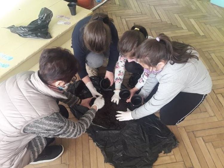 В училището в село Грохотно си засадиха гора, децата ще се грижат за нея