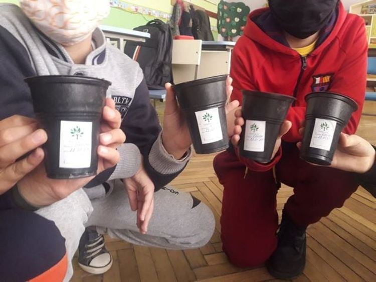 В училището в село Грохотно си засадиха гора, децата ще се грижат за нея