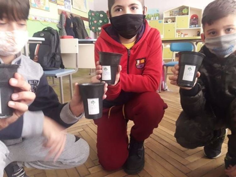 В училището в село Грохотно си засадиха гора, децата ще се грижат за нея