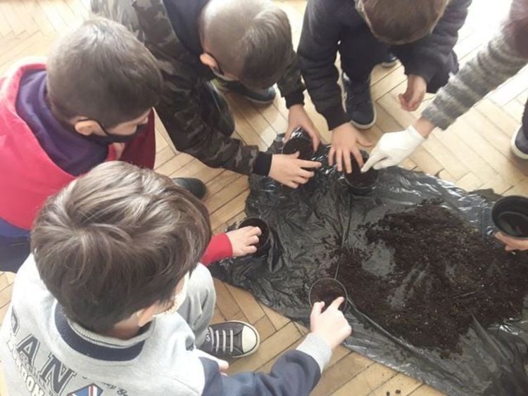 В училището в село Грохотно си засадиха гора, децата ще се грижат за нея