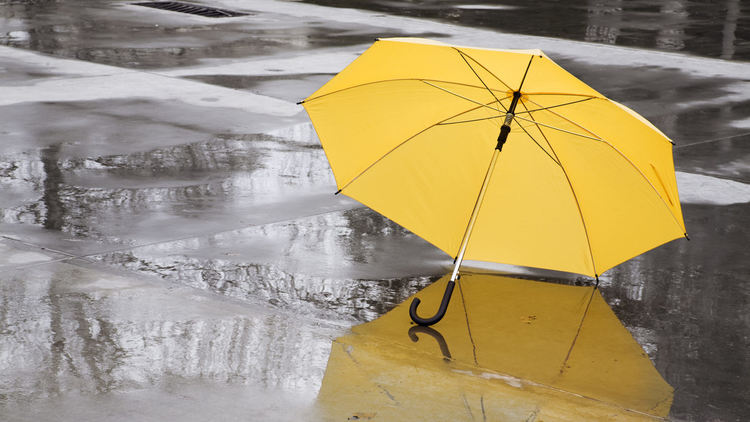 Дъжд следобед, чакаме сняг