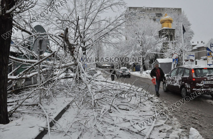 Множество паднали дървета и клони в Хасково, улица „Георги Кирков“ е блокирана
