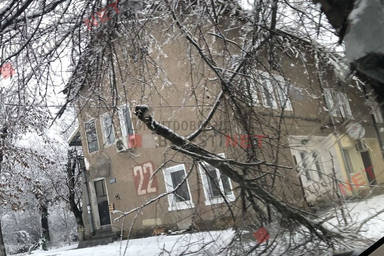 Първият сняг събори дървета, уличен стълб и прекъсна тока в част от Димитровград и общината