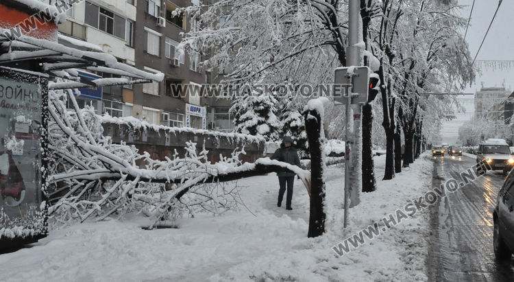 До 30 см снежна покривка в Хасковско