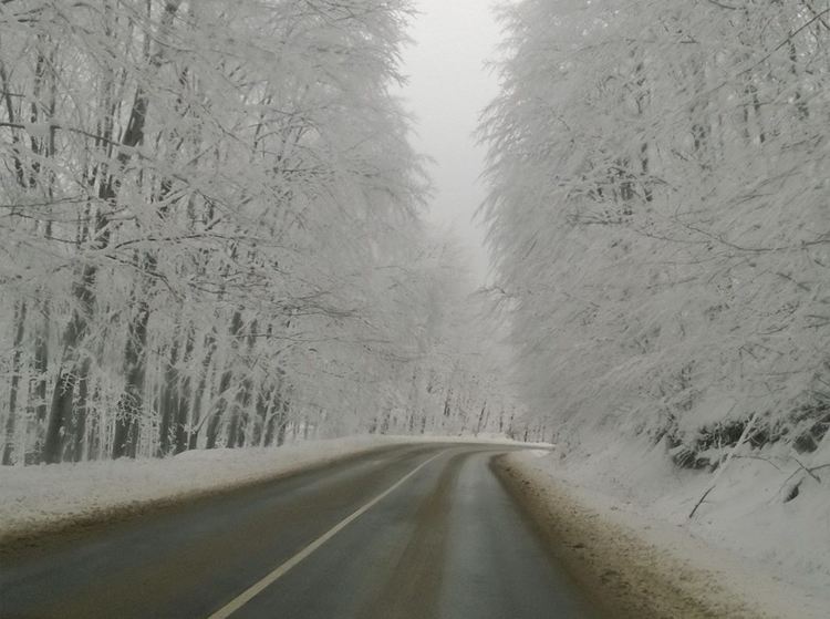 Основните пътни артерии в община Асеновград са проходими