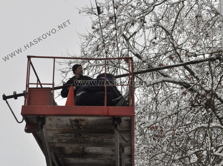 Паднали клони от снега скъсаха жиците на тролея