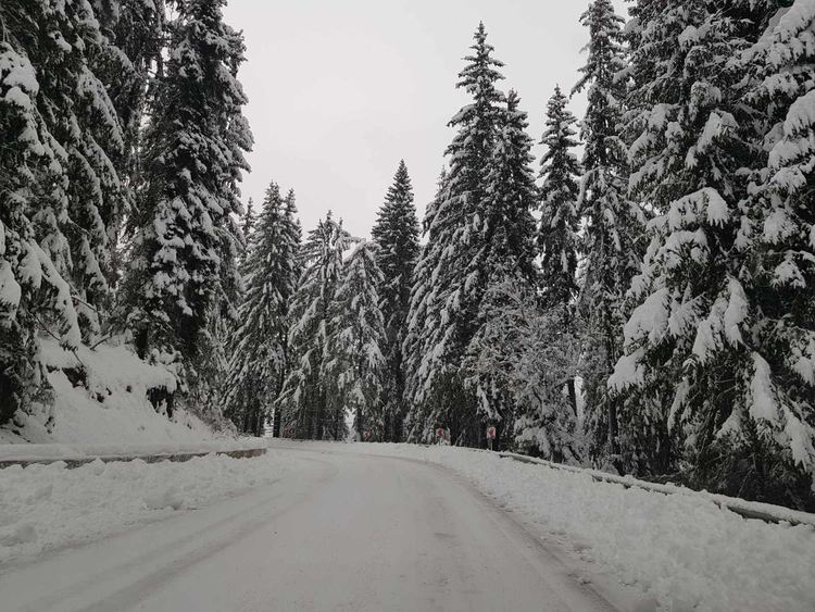 Сняг и минусови температури на 27 януари