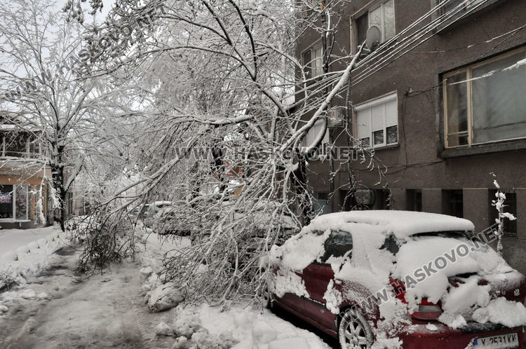 Множество паднали дървета и клони в Хасково, улица „Георги Кирков“ е блокирана