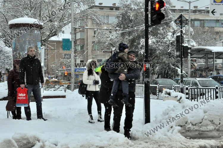 Множество паднали дървета и клони в Хасково, улица „Георги Кирков“ е блокирана