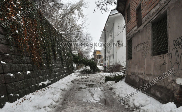 Паднали клони от снега скъсаха жиците на тролея