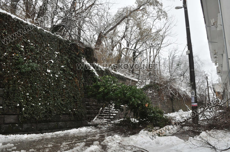 Паднали клони от снега скъсаха жиците на тролея