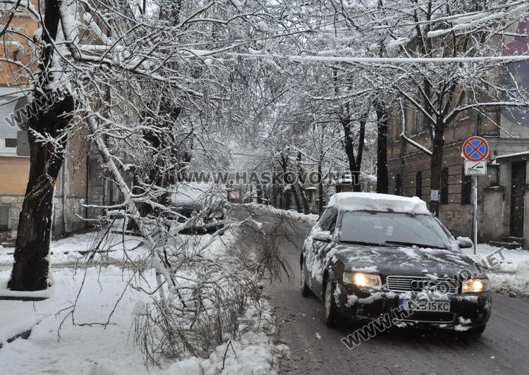 Множество паднали дървета и клони в Хасково, улица „Георги Кирков“ е блокирана