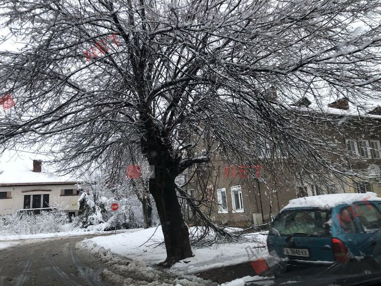 Първият сняг събори дървета, уличен стълб и прекъсна тока в част от Димитровград и общината