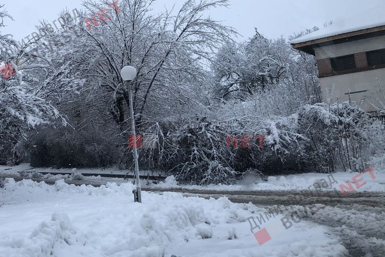 Първият сняг събори дървета, уличен стълб и прекъсна тока в част от Димитровград и общината