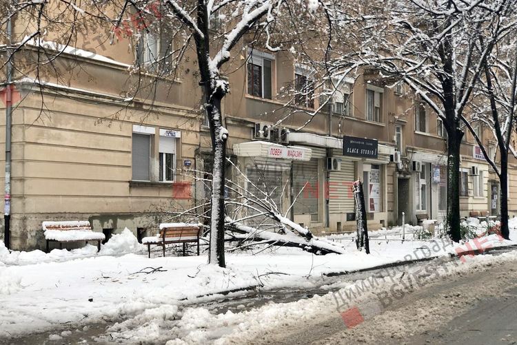 Първият сняг събори дървета, уличен стълб и прекъсна тока в част от Димитровград и общината