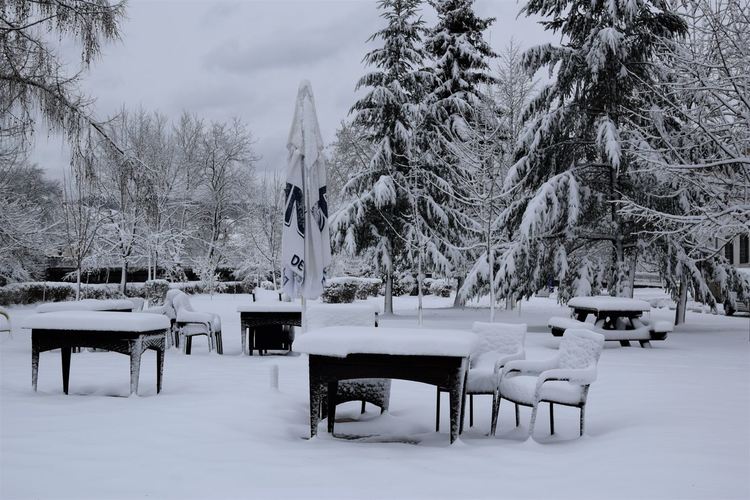 Първият сняг за 2021 година заваля в Ардино