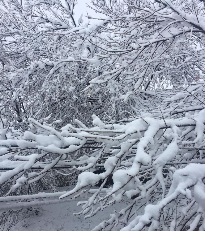 Жълт код за опасно време в Хасковска област